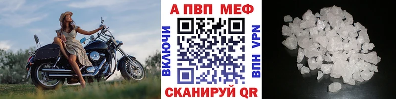 Альфа ПВП СК  Назрань 