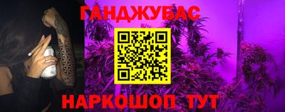 прущие крисы Кингисепп