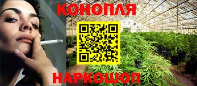 прущие крисы Кингисепп
