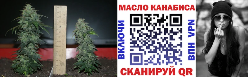 продажа наркотиков  Назрань  ТГК THC oil 