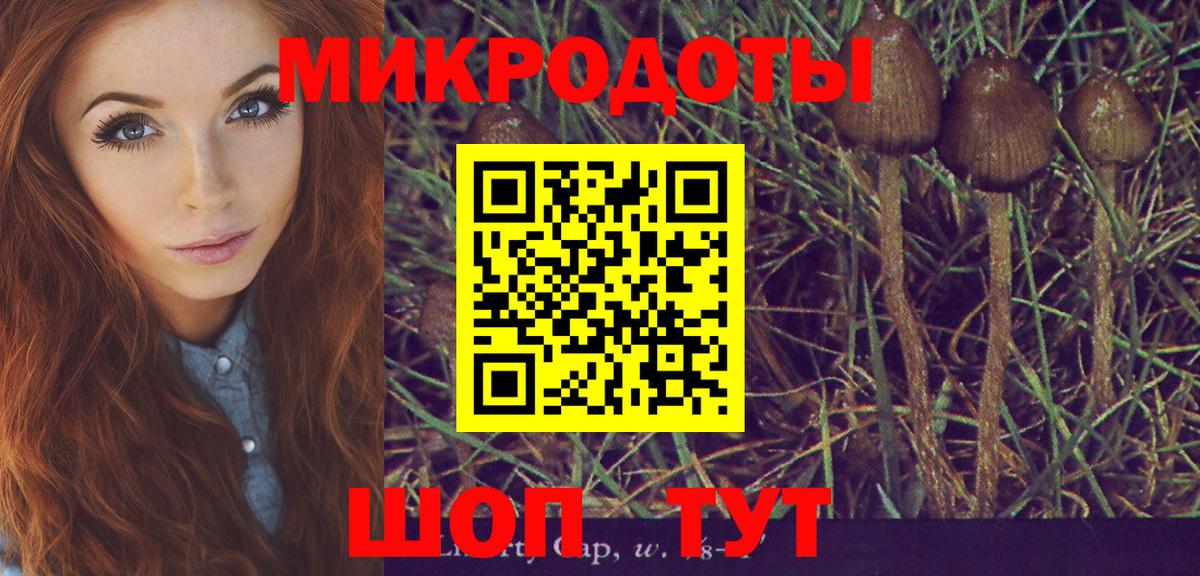 Назрань  Галлюциногенные грибы MAGIC MUSHROOMS  наркота  Вход с VPN 