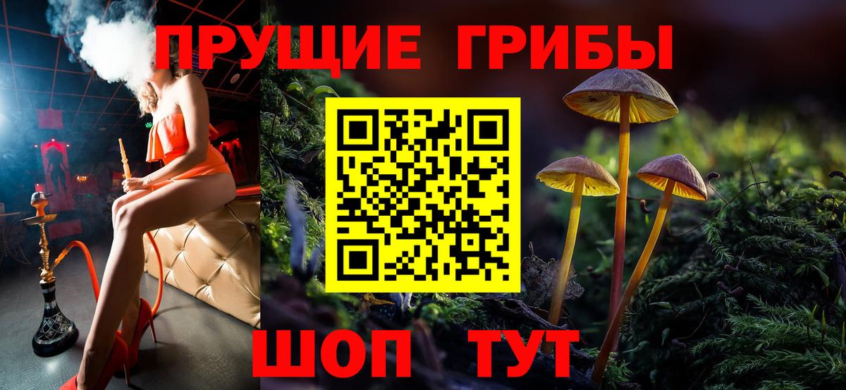 Галлюциногенные грибы MAGIC MUSHROOMS  Назрань  Галлюциногенные грибы Psilocybine cubensis 